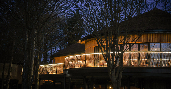 Ramside Tree House accommodation